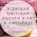 29663965_1218945414902573_1588590021_n-e1522247994107